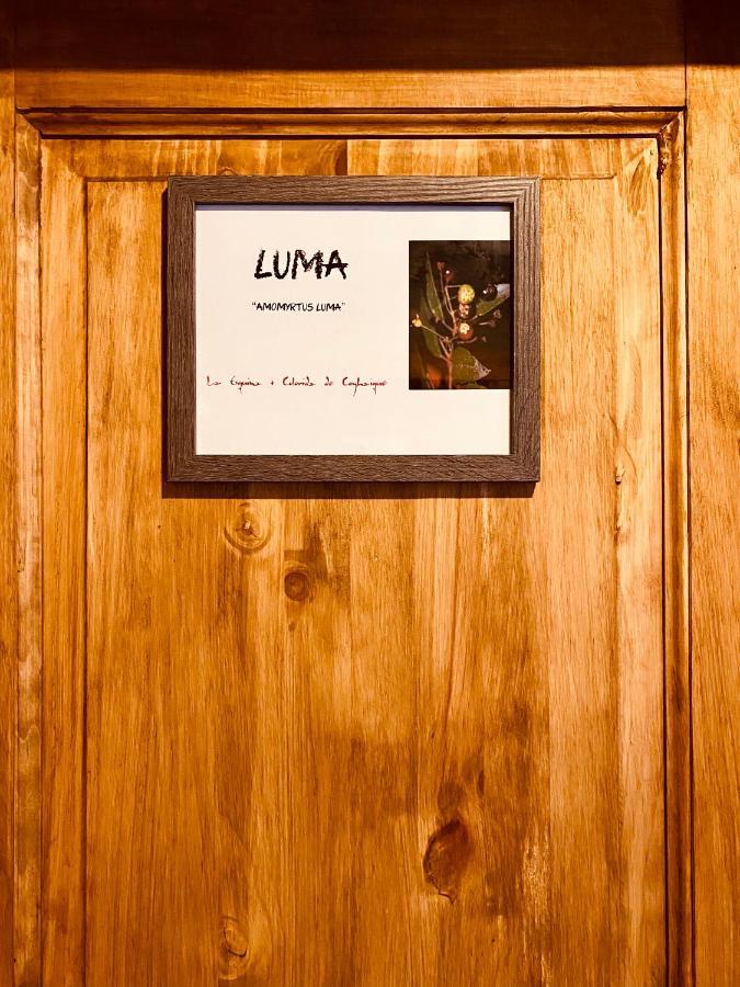 Hostal Esquina Patagonica Coyhaique Eksteriør billede